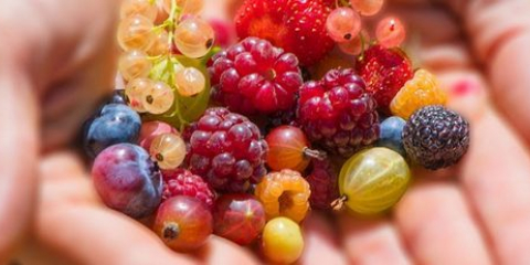 Čeká na nás abnormální rozpadat - splňuje hlavní zahradník ruska